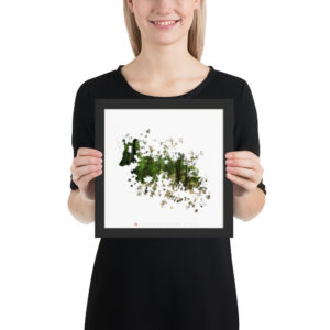 "Evergreen Fox"  £35